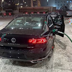 亚洲女人拳交高潮
