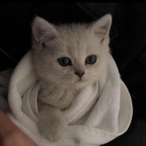 亚洲女人拳交高潮
